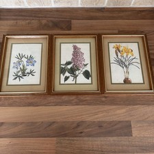 3x Vintage Framed Botanical Prints flower St Michaels M&S Mary Lou Goertzen