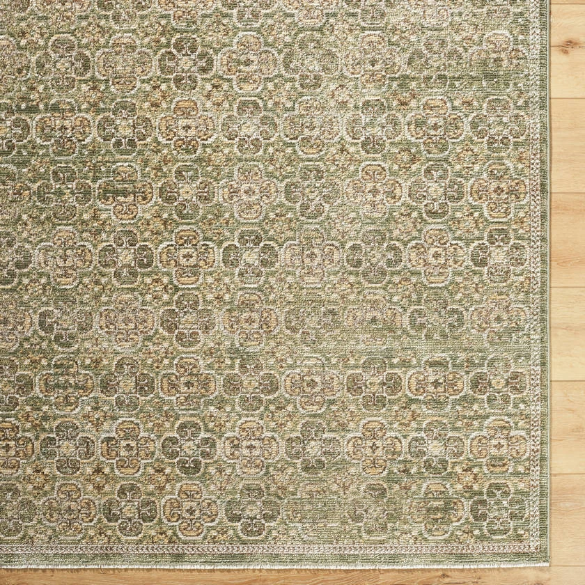 Area Rugs Myrtle Avenue Traditional Olive Area Rug - Galey Alix Livabliss - Image 3 of 4