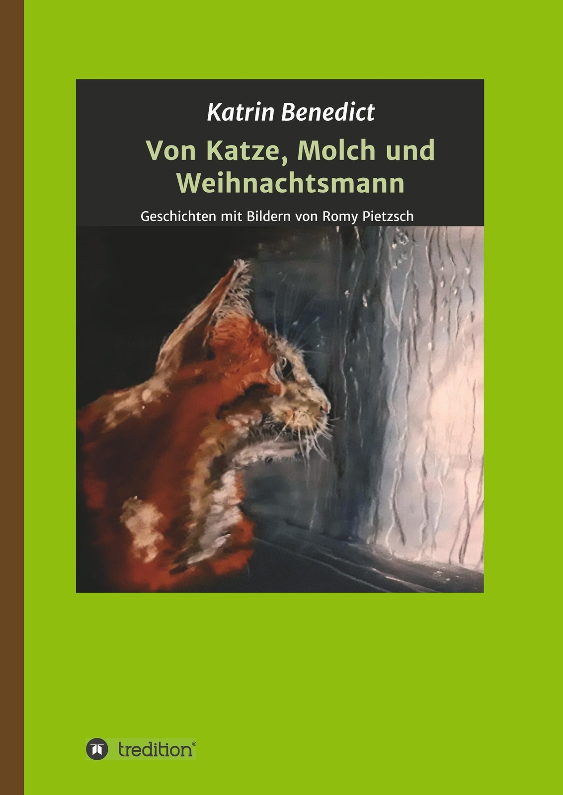 Thumbnail - Katrin Benedict | Von Katze, Molch Und Weihnachtsmann | Buch | Deutsch