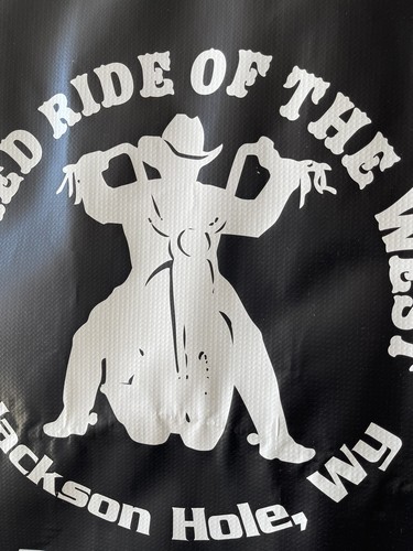 2001 STURGIS RALLY GIANT 8FT VINYL BANNER - PANZER MOTORCYCLE - WICKED RIDE USA - Picture 17 of 18