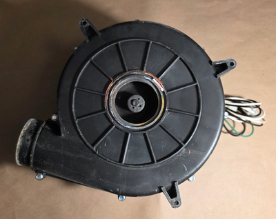 FOUR DEGREES CELSIUS After My Dream 廃盤 FOUR DEGREES CELSIUS After My Dream 廃盤