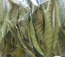 Organic 50 Dried Mango leaves@£6.50. Free postage. Nature’s Health and Wellnes