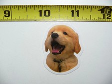 FUNNY DOG SMALL STICKER DECAL AX137 FUNNY JOKE SIZE FUN HI PET FUNNY