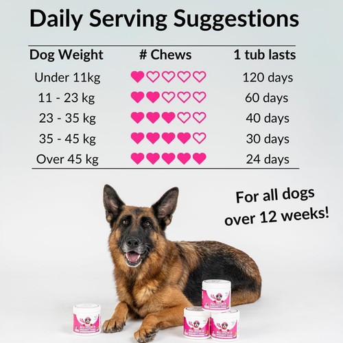 All-itch And Immunity Food Treats Chews For Dogs Healthy Digestion Gut Support - Foto 3 di 11