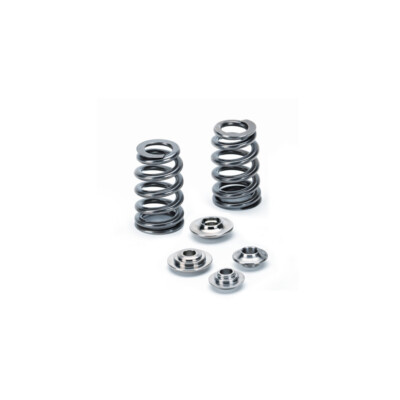 SUPERTECH VENTILFEDERSATZ FÜR BMW M5 4.4 S63B44 V8 VALVE SPRING KIT SPRK-BMS63B