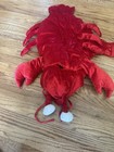 Halloween Dog Pet Easy On Off LOBSTER Crayfish Hoodie Costume Outfit Small Dog — photo 1
