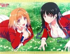 Kushida & Horikita B2 Tapestry - Classroom Elite Blu-ray/DVD Vol.2 USED