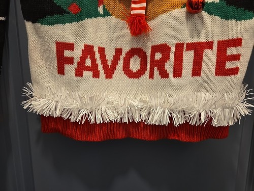No Boundaries Ugly Christmas Sweater Santa’s Favorite REINDEER KIDS L (12/14) - Picture 11 of 20