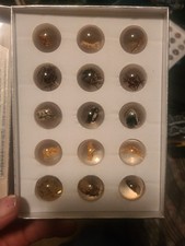 Resin Marbles With 5 Kinds Of Real Insects An...