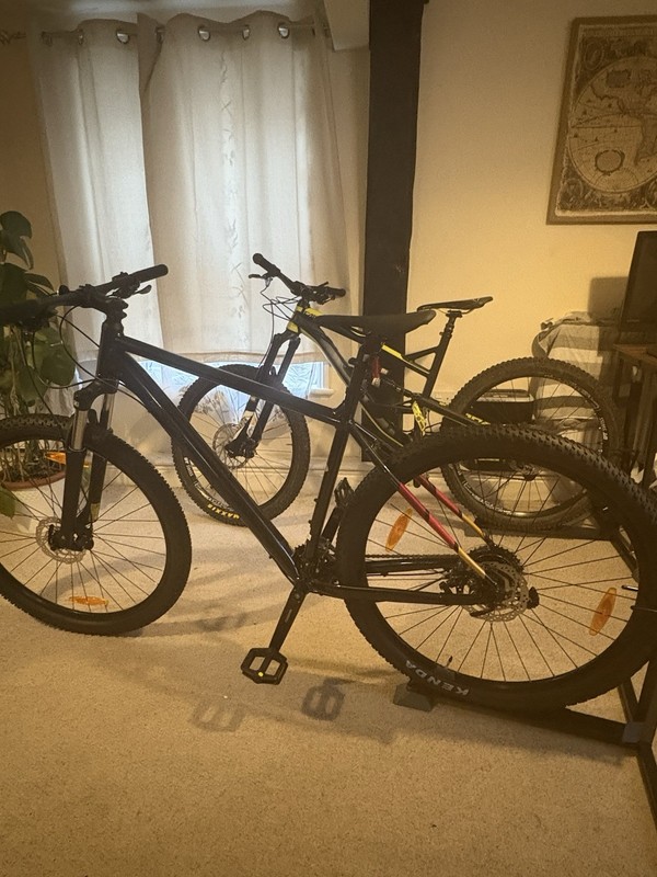 2024 Bergamont Revox 4.0 Hardtail 29er Mountain Bike - Large