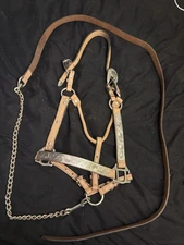 Leather Horse Show Halter with Silver