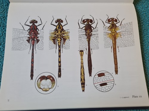 The Dragonflies of Great Britain and Ireland by Cyril O. Hammond, 1977 1st, DJ - Foto 12 di 16