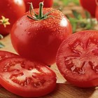 Celebrity Tomato Seeds F1 Hybrid | Non GMO | Free Shipping | Seed Store | 1029