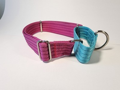 Every Yay Hittin' My Stride Martingale Dog Collar Petco