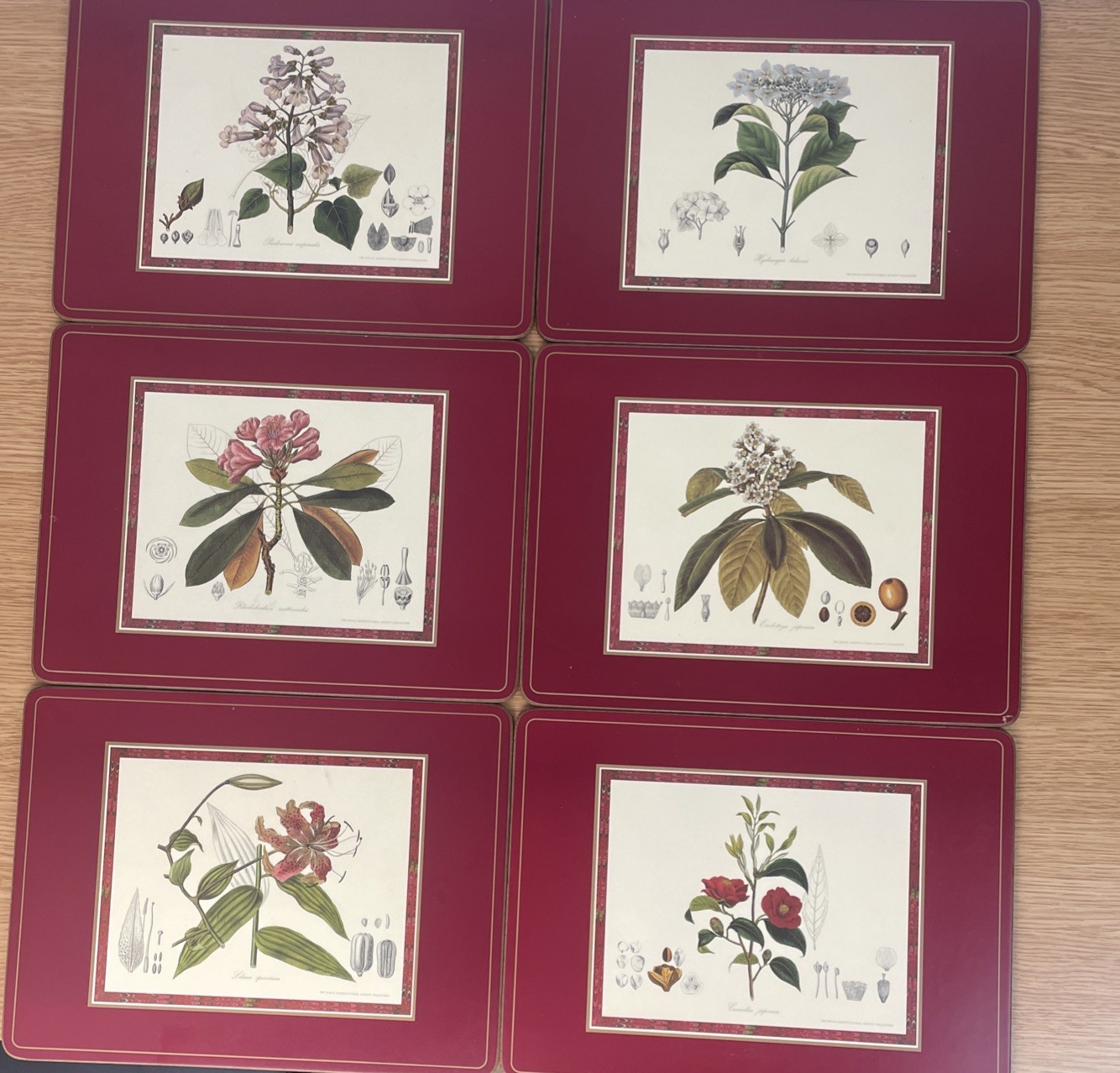 Vintage Pimpernel Royal Horticultural Society 6 Placemats Flora Japonica VGC
