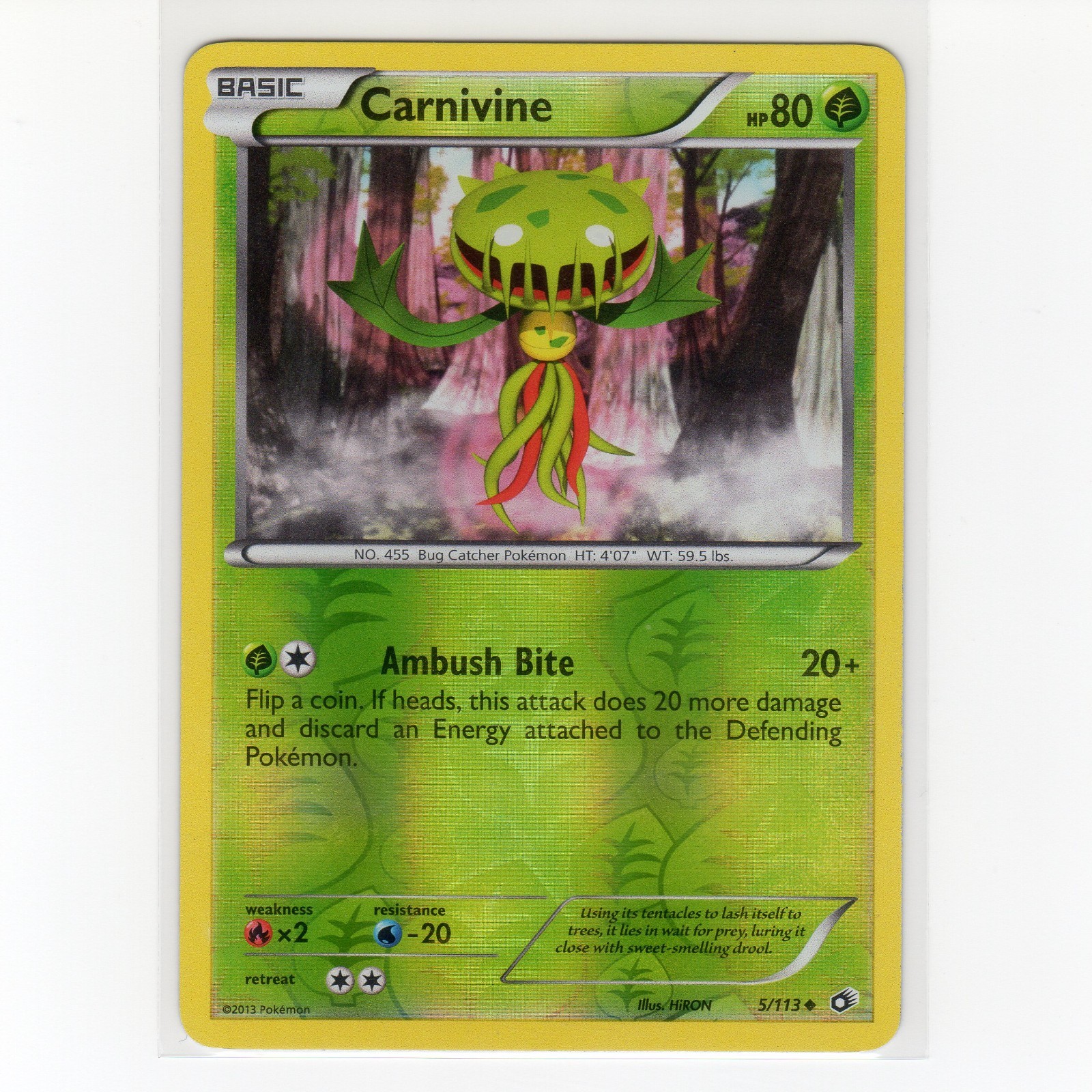 Pokémon TCG Carnivine 5/113 BW Legendary Treasures Reverse Holo Card EN-LP 2013