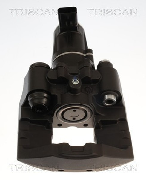 Triscan Bremssattel 8175 81207 FüR Tesla Model 100D AWD 60D 70D 75D 85D 90D P85-image