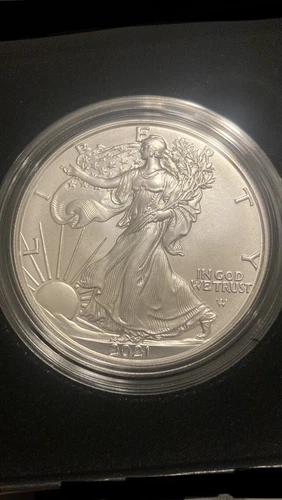 2021 W Burnished $1 Type 2 American 1 OZ Silver Eagle OGP & COA 21EGN