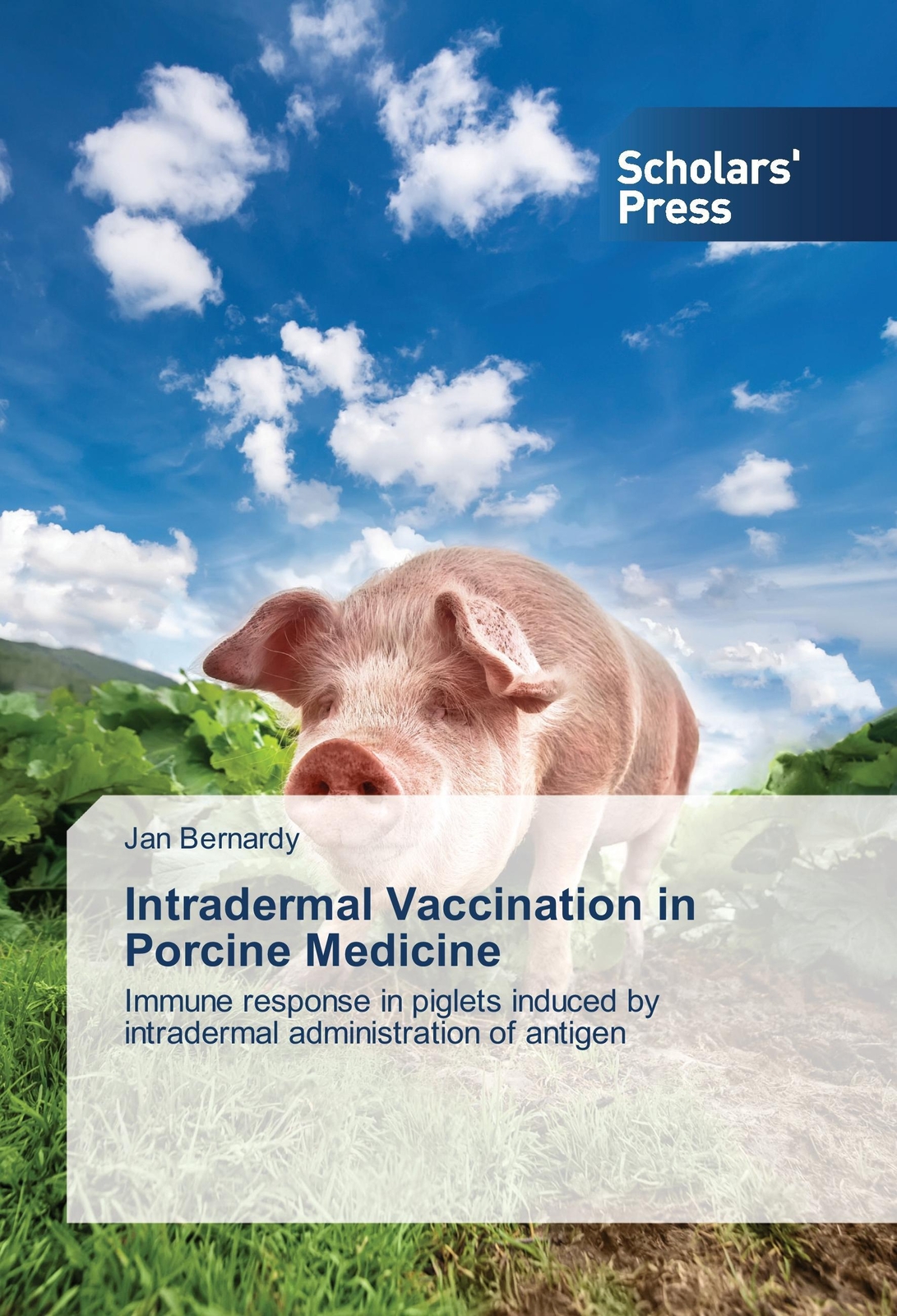 Thumbnail - Jan Bernardy | Intradermal Vaccination In Porcine Medicine |