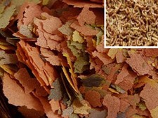 Tropical Fish Flake + Added Freeze Dried Bloodworm High Protein 50g / 100g Packs