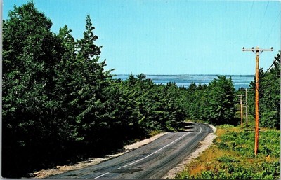 Approach To Sebasco Lodge Estates Maine ME Road Postcard UNP VTG Koppel Unused