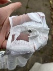 Bild 8 von 12