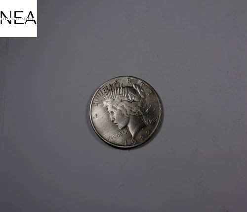 1928 Peace Dollar ~ Very Fine VF (details) ~ Key Date ~ ZP602