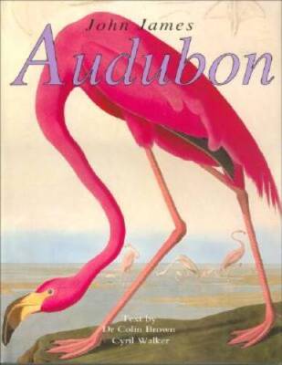 John James Audubon: American Birds - Hardcover By Brown, Colin - GOOD