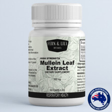 High strength Mullein extract 20:1 Verbascum Thapsus 60-capsules lung health