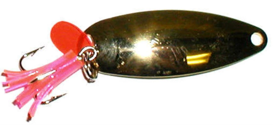 Bb731 shop