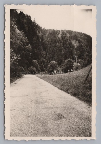 Schramberg 1959 - Bernecktal Ruine Falkenstein Landstraße - Altes Foto - Bild 1 von 2