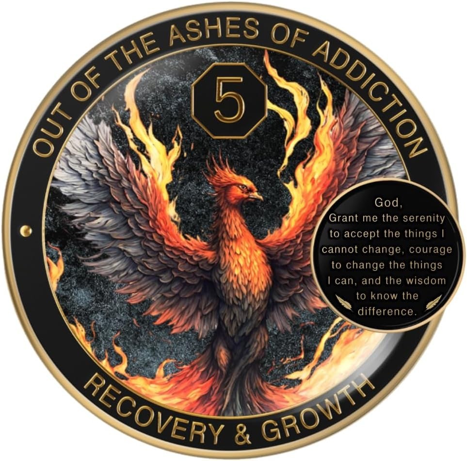 Phoenix Sobriety Coin 5 Year AA Chip Medallion Gift Set Sobriety Gifts for Anniv