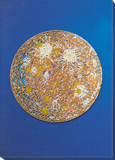 Full Moon Cadence-1 Bead Embroidery Kit   DIY Beaded Home Decor Wall Art