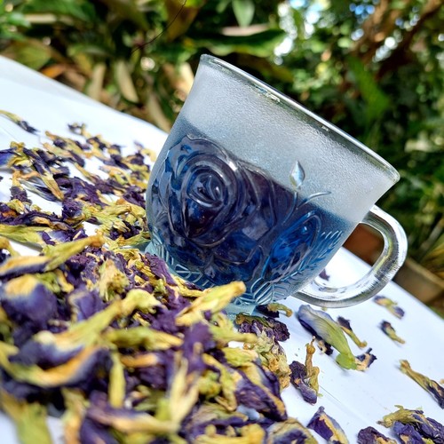 500g Blue Butterfly Pea Flower Clitoria Ternatea Nil Katarodu For Herbal Drink - Picture 2 of 8