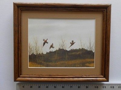 David Hagerbaumer RING NECKED PHEASANT 8x10 framed 2.6 357