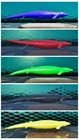 Ark Adult Basilosaurus Pair ARK Survival Ascended ASA PVE PC/XBOX/PS