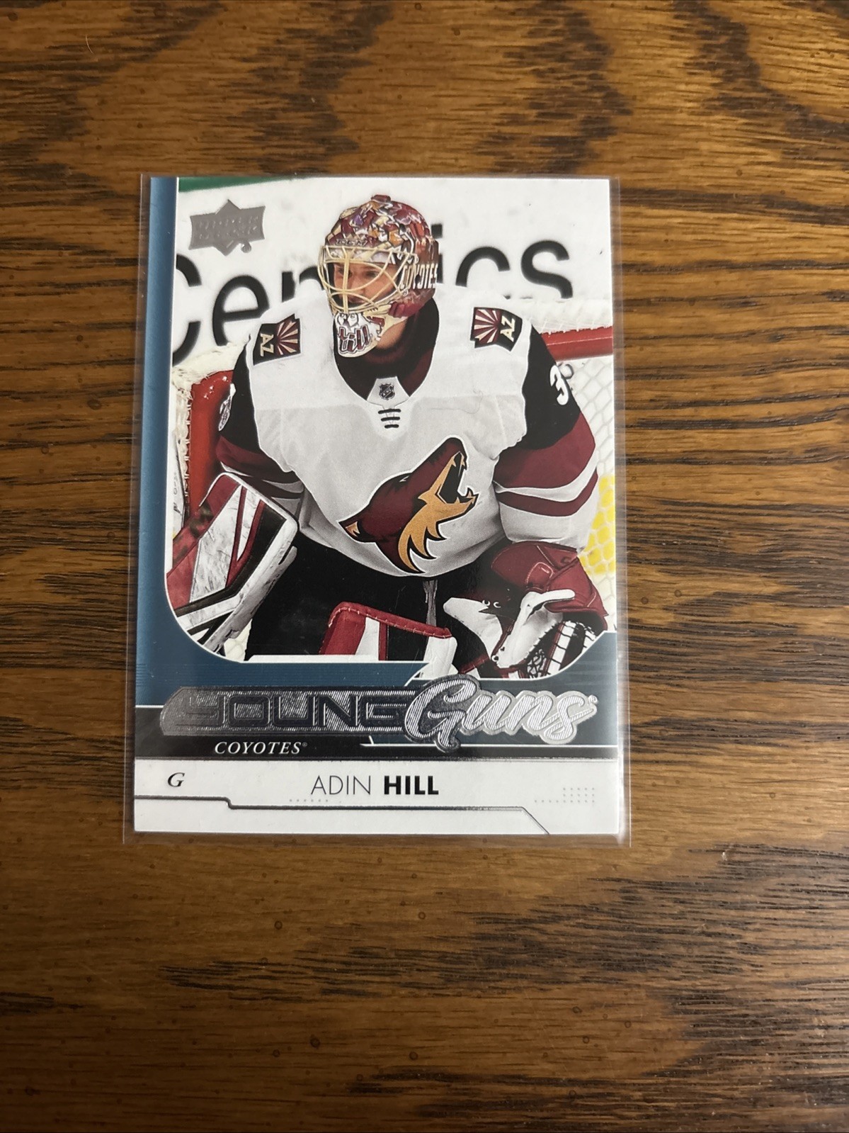 2017-18 Adin Hill - Upper Deck #454 Young Guns