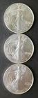 Lot of Three 2026 $1 American Silver Eagle Dollars