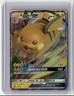 2019 Pokemon Hidden Fates Black Star Promo Holo Raichu GX #SM213