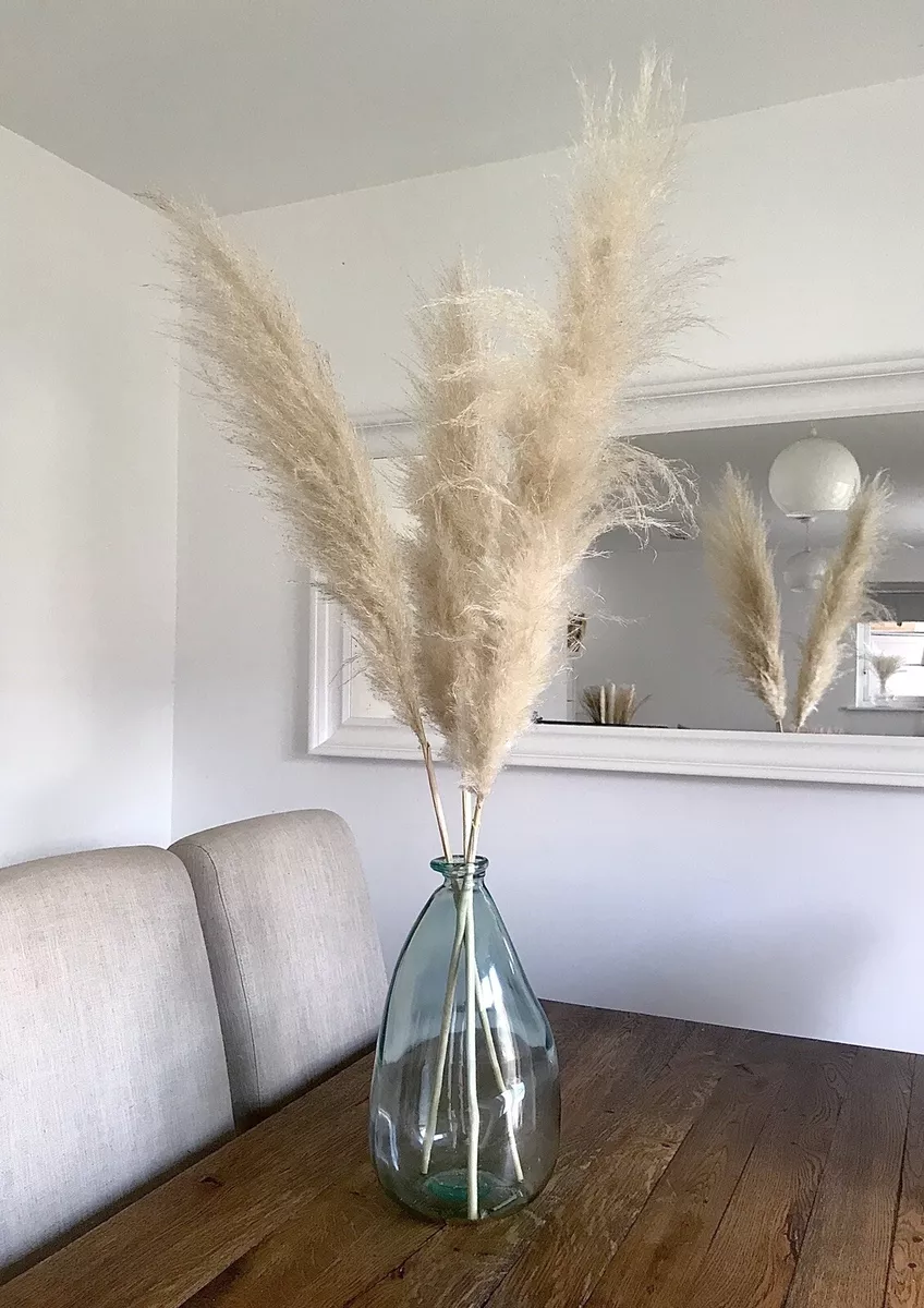 Dried pampas grass Large tall ivory white 110cm 3 stem 60cm plume dry flower UK