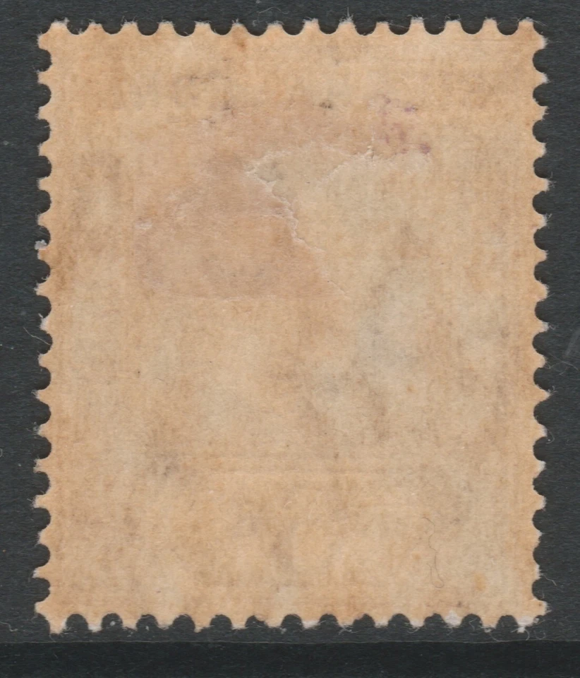 Sierra Leona COMO NUEVO EVII 1904-05 6d púrpura opaco sg94 corona múltiple Foto 2 de 2