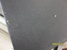 Picture 10 of 11