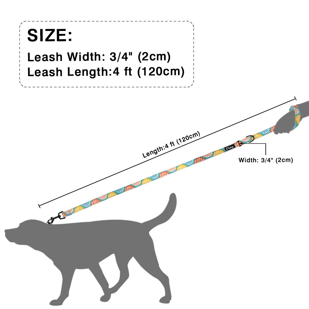 4 foot cheap dog leash