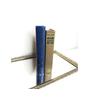 Set of two vintage books, blue and green for shelf display