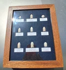 BULLETS FROM THE VIRGINIA BATTLE FIELD INCASED GETTYSBURG MUSEUM OF HISTORY CERT