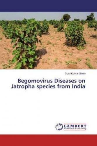 Thumbnail - Begomovirus Diseases On Jatropha Species From India 3327