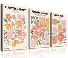 Sage Green Boho Wall Art Set of 3, Minimalist Framed Wall Art Geometric Line ...