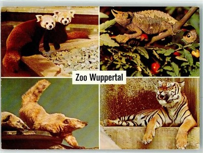 39425707 - 5600 Wuppertal Kleine Pandas Chamaeleon Nasenbaeren Tiger Zoo