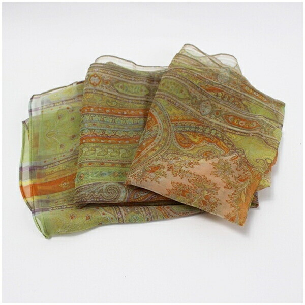 Authentic ETRO Silk Stole Large Rectangle Beige x… - image 7