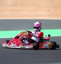 80Km/h Racing Go Kart 4 Stroke Karting Vehicle 7.5HP 225cc Engine Gas All Ages